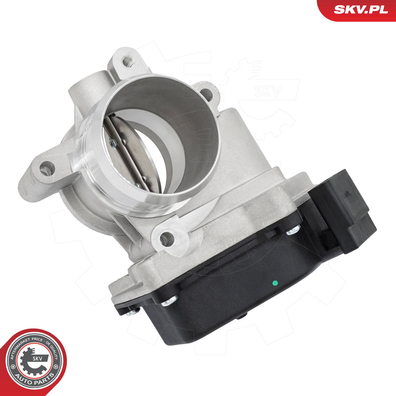 ESEN SKV 12SKV192 Throttle body