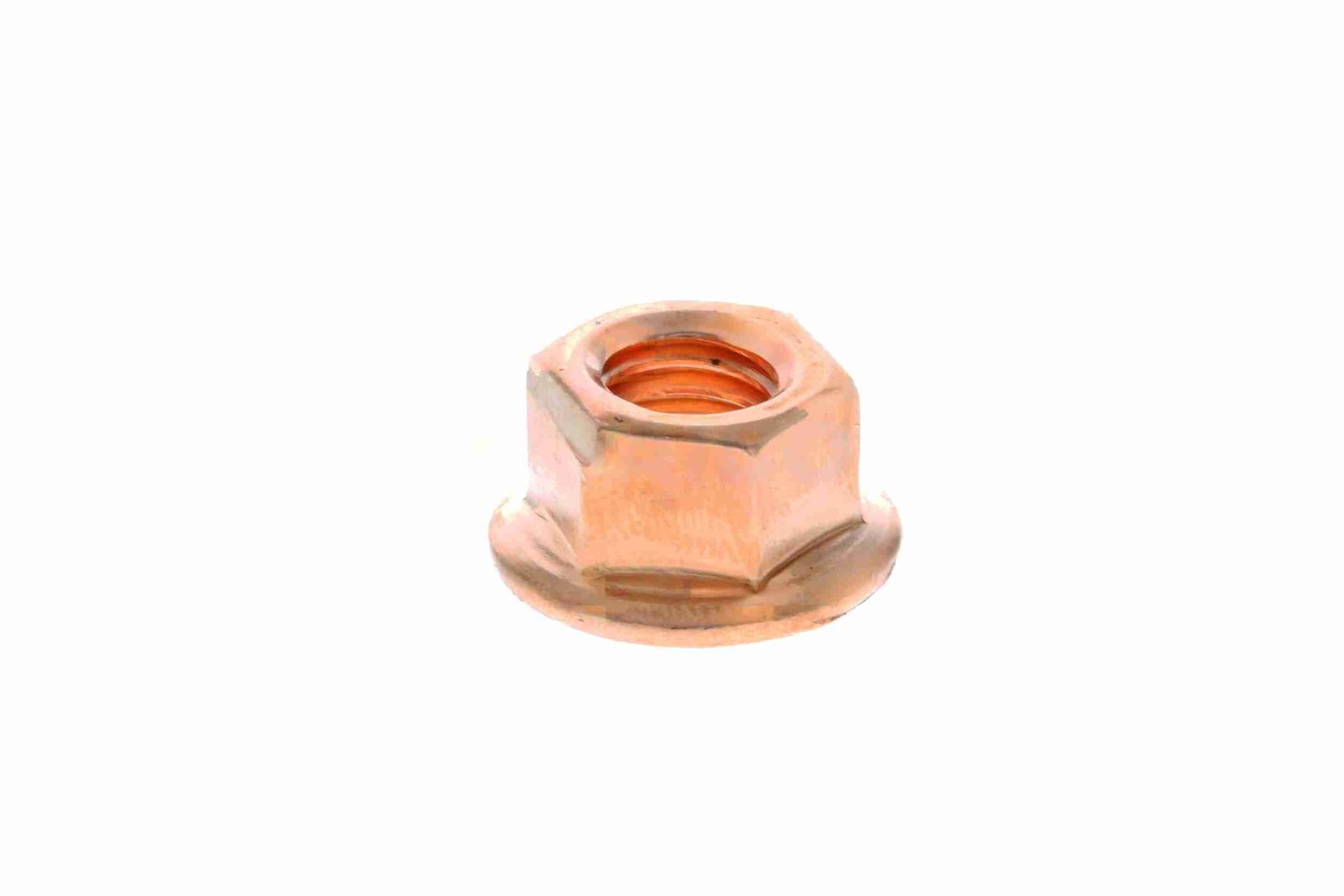 Nut-8