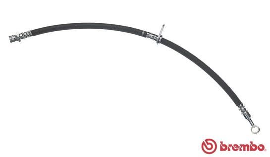 Brake Hose