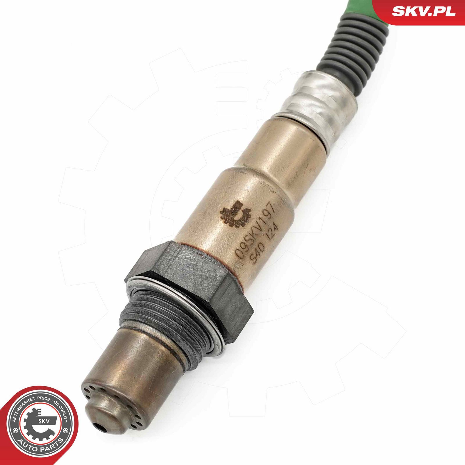 Oxygen Sensor-4