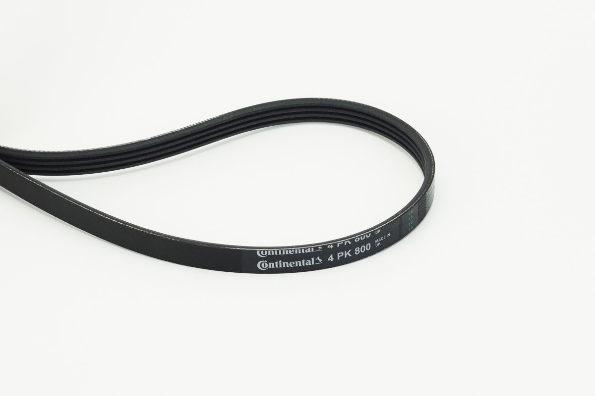 CONTINENTAL CTAM 4PK800 V-ribbed belt