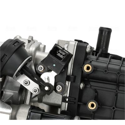EGR Module-6