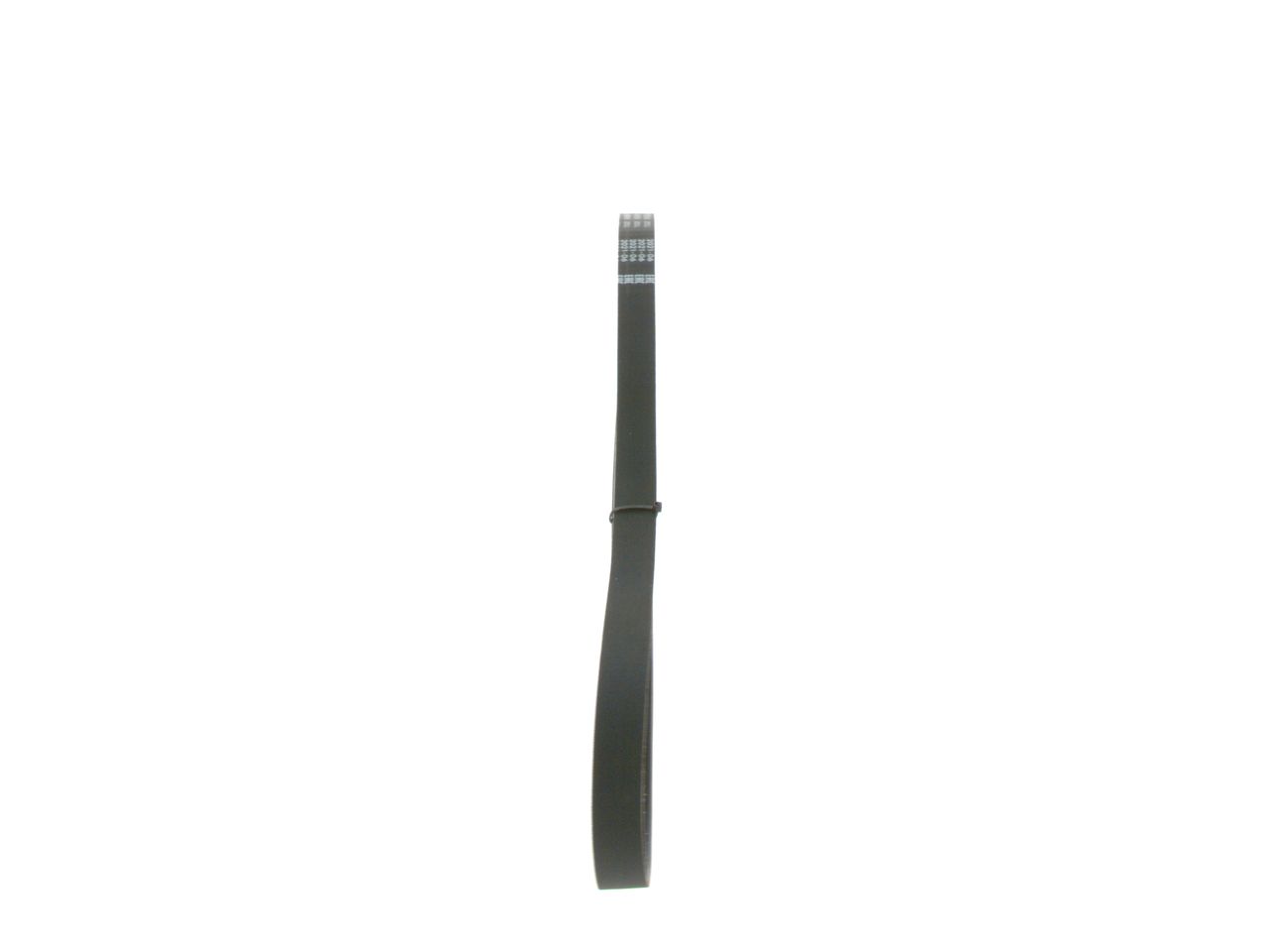 V-ribbed Belt-3