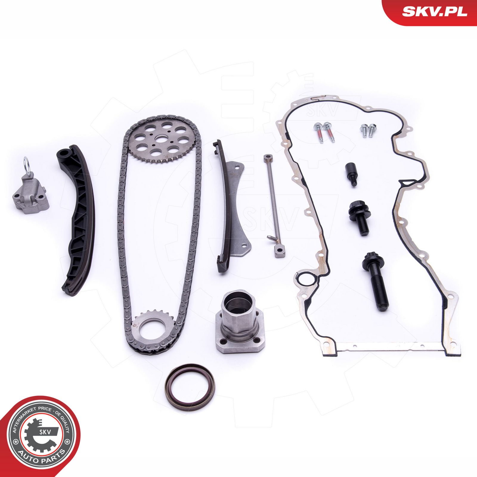 ESEN SKV 21SKV220 Timing chain kit