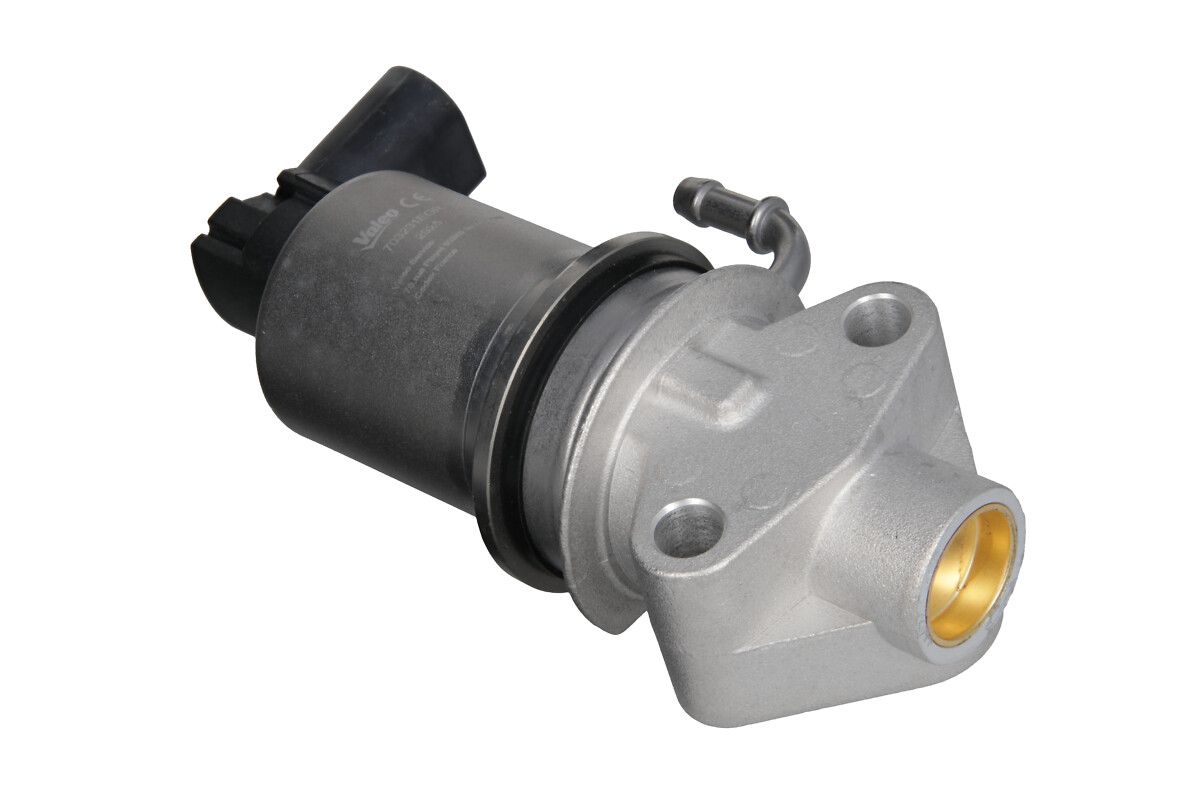EGR Valve-2