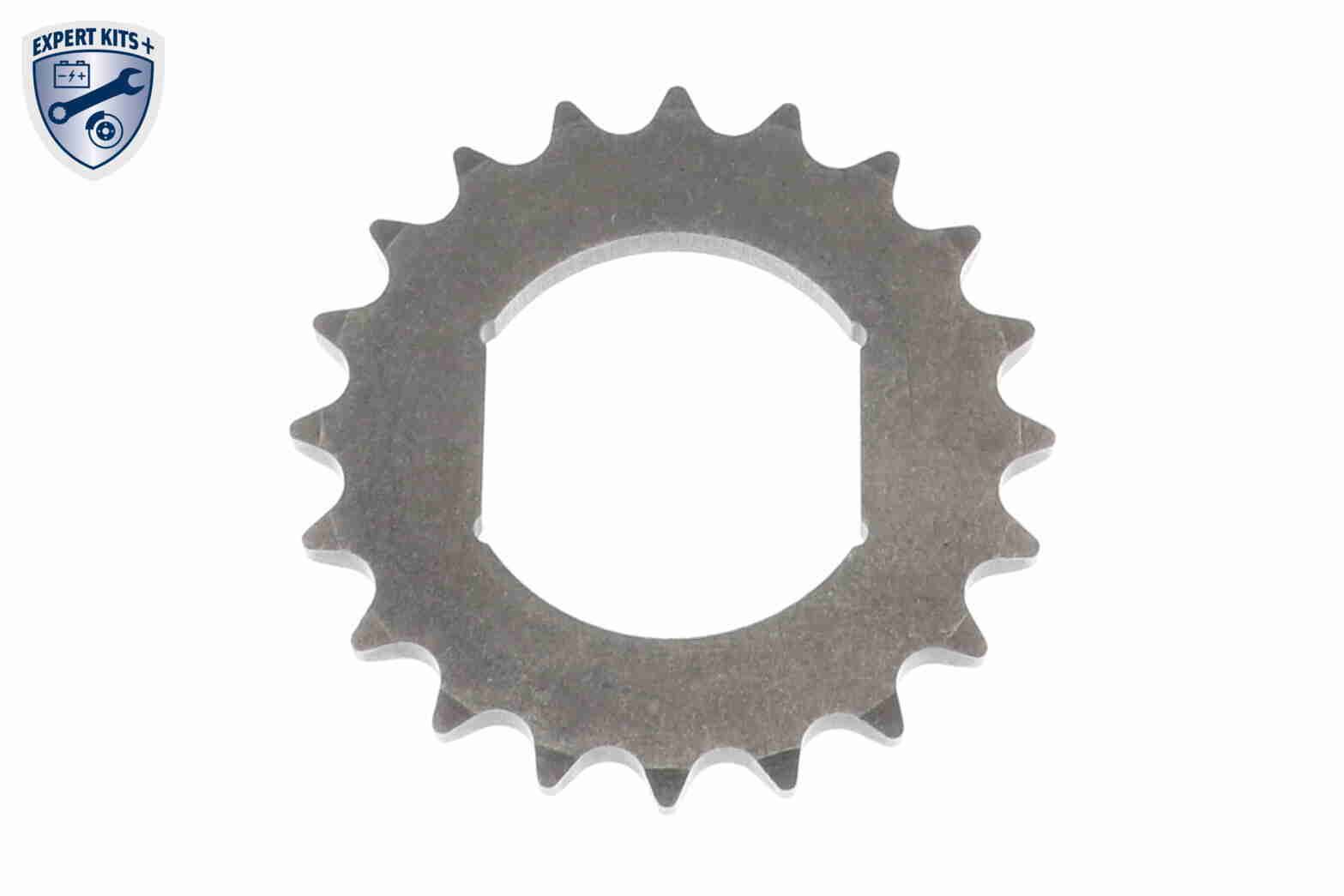 Timing Chain Kit-3