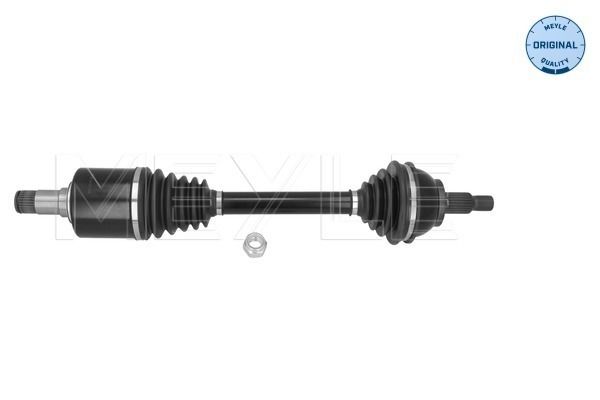 Drive Shaft