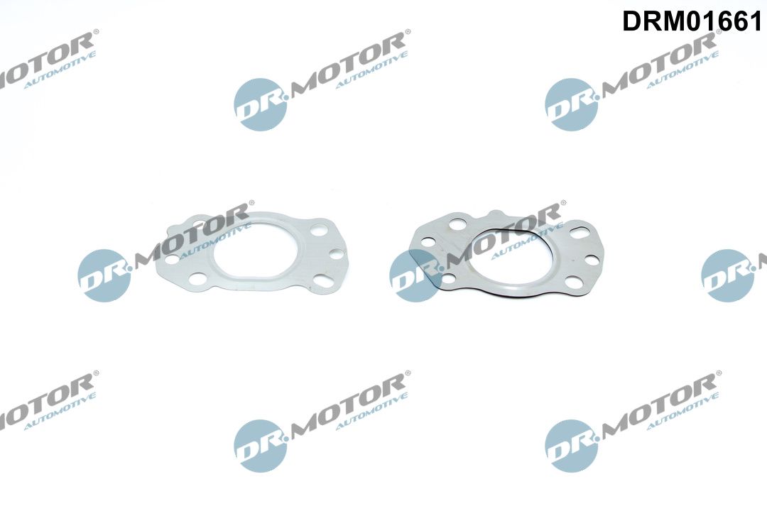 DR.MOTOR AUTOMOTIVE DRM01661 Gasket, exhaust manifold