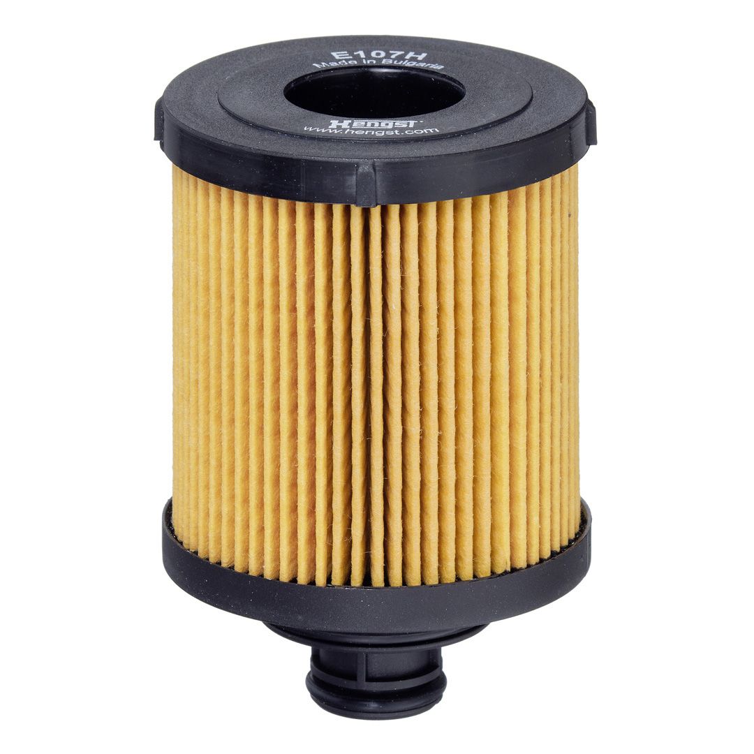 HENGST FILTER E107H D166 Oil filter