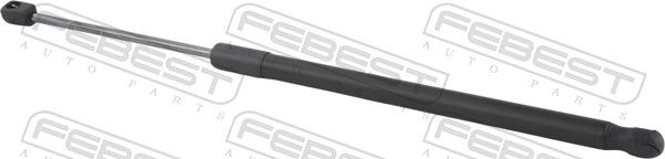 Gas Spring, boot/cargo area