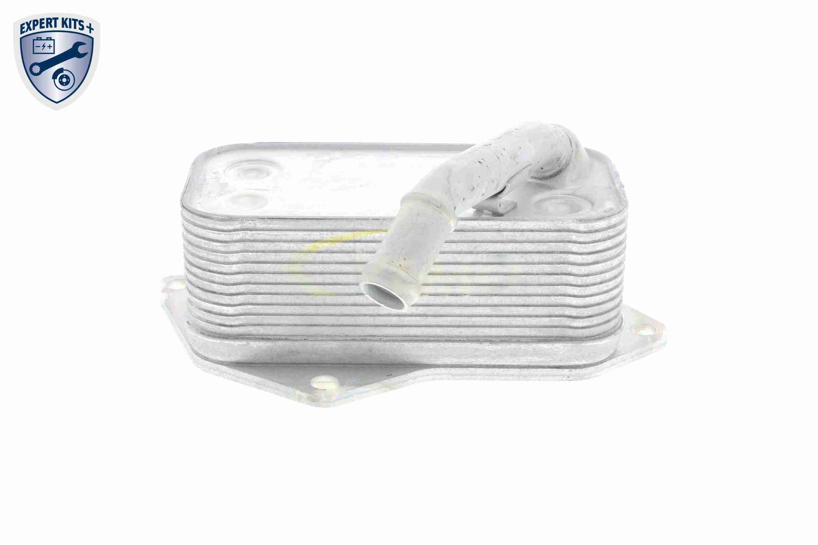 Oil Cooler, engine oil-2