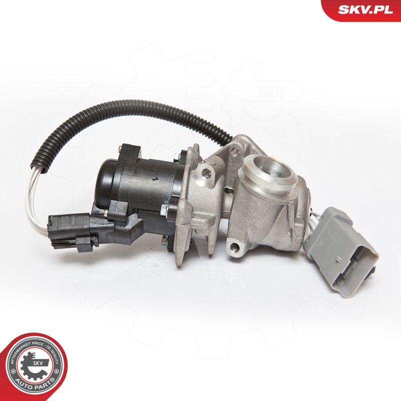 EGR Valve-1