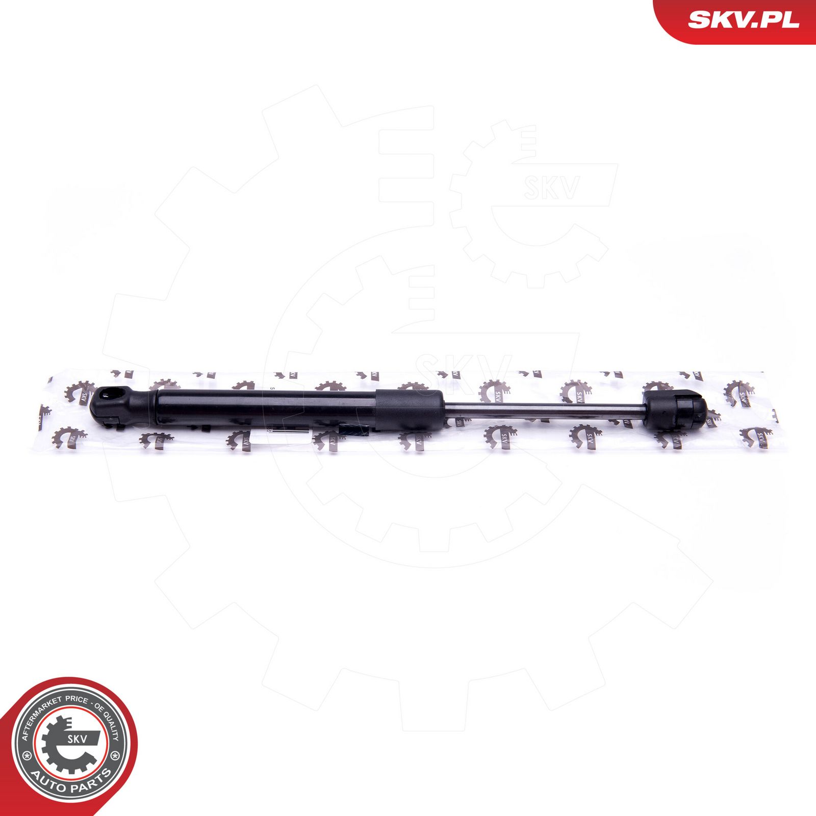 Gas Spring, boot/cargo area