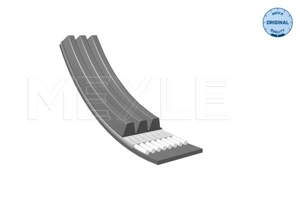 V-ribbed Belt-1