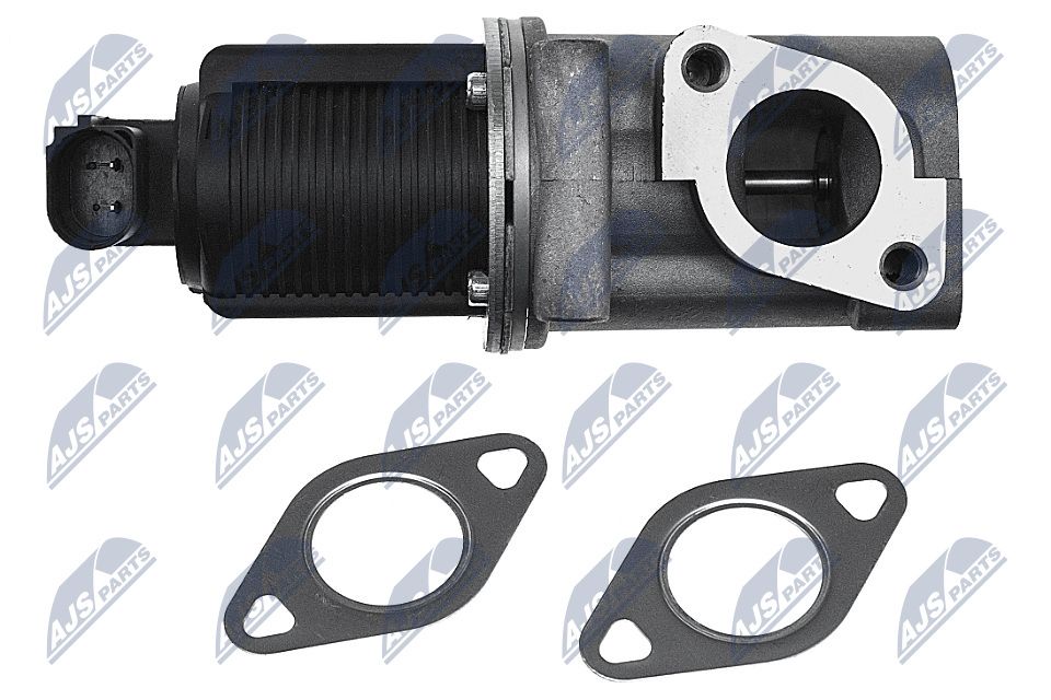 EGR Valve-1