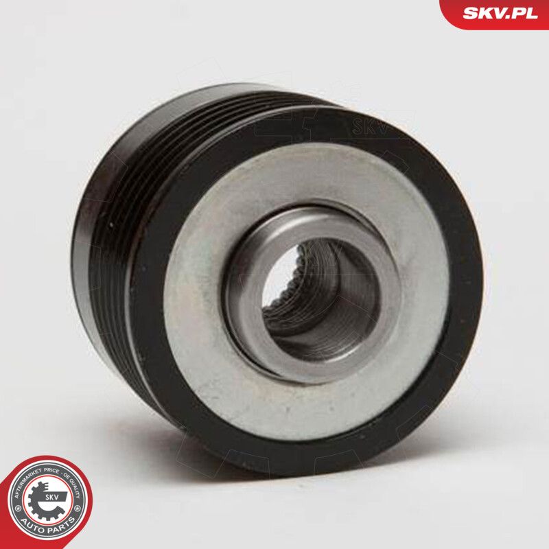 Alternator Freewheel Clutch-2