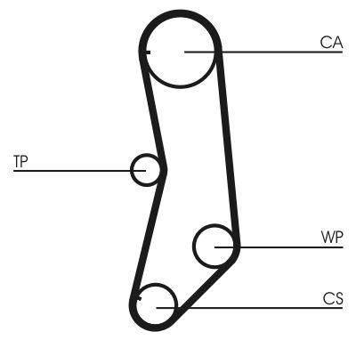 Timing Belt-1