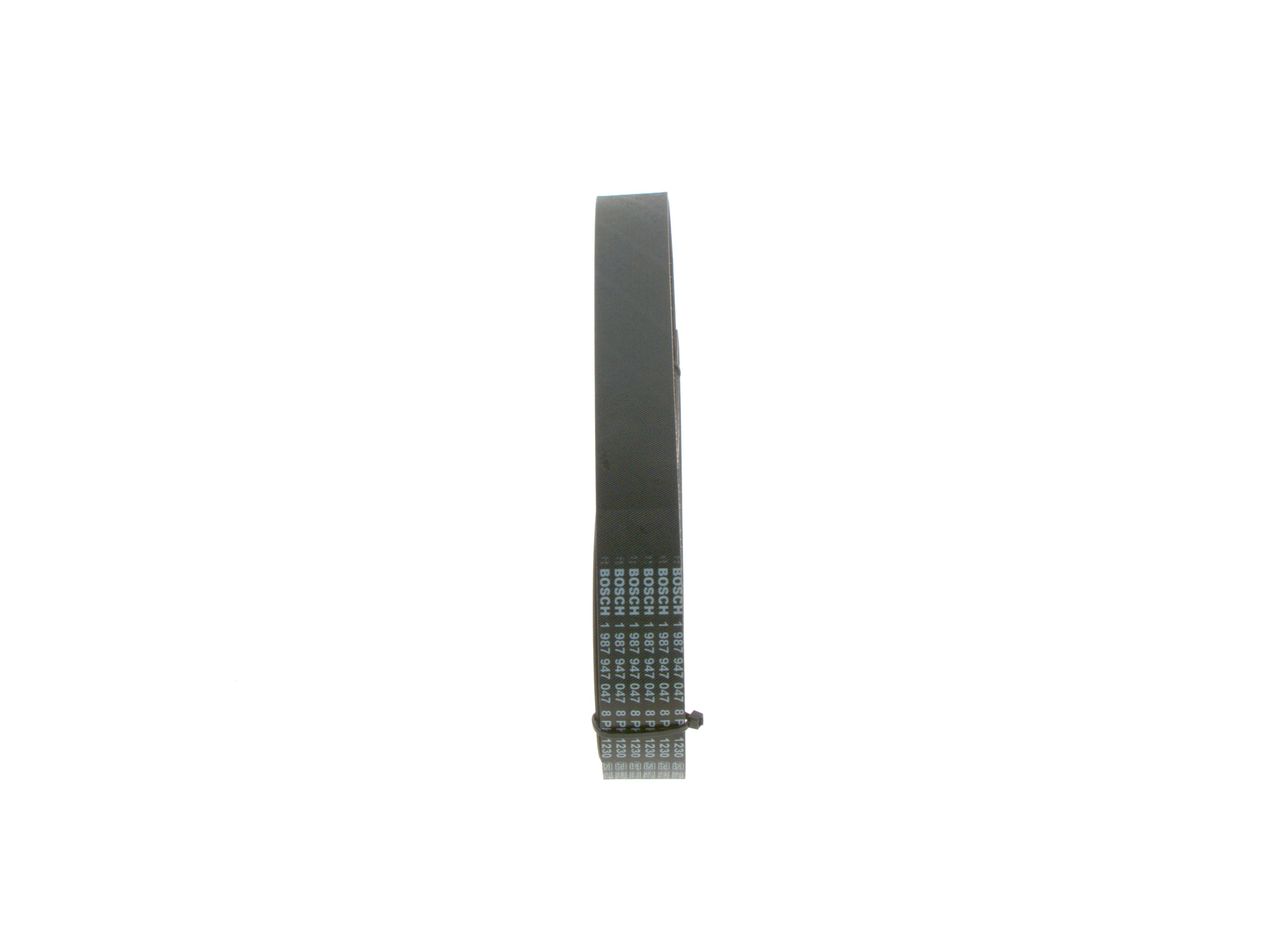 V-ribbed Belt-7