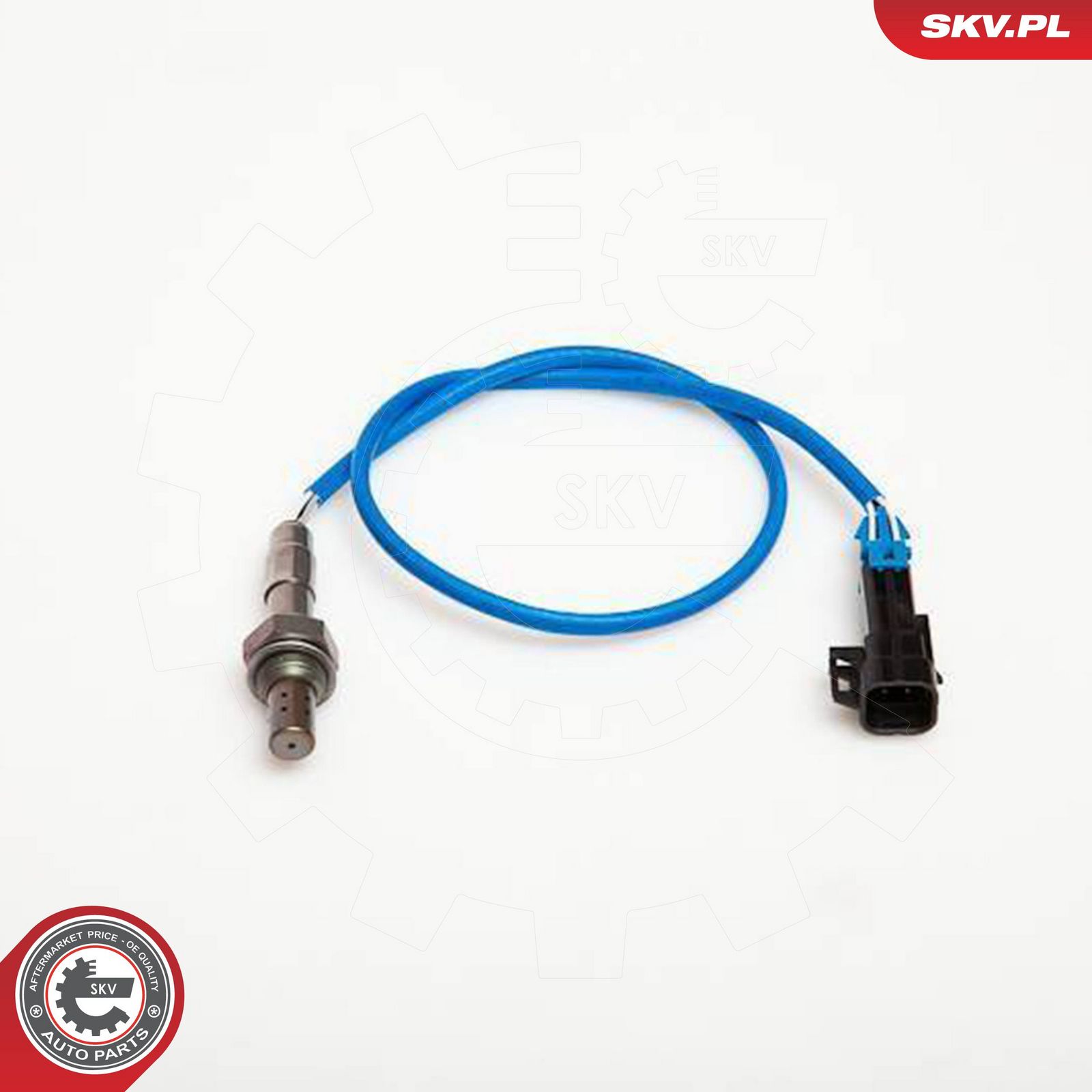 Oxygen Sensor
