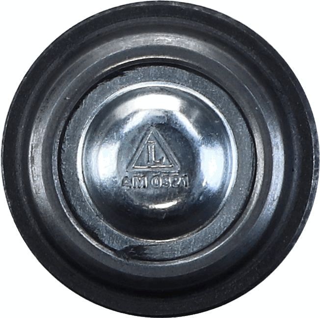 Šarnyras / girgždukas-1