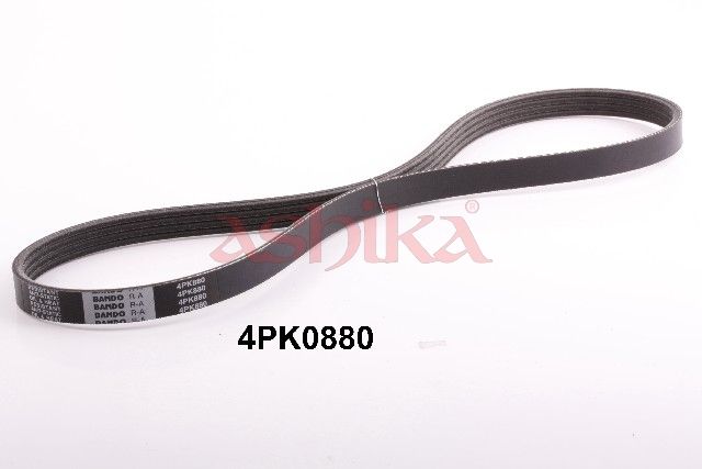 ASHIKA 112-4PK880 V-ribbed belt