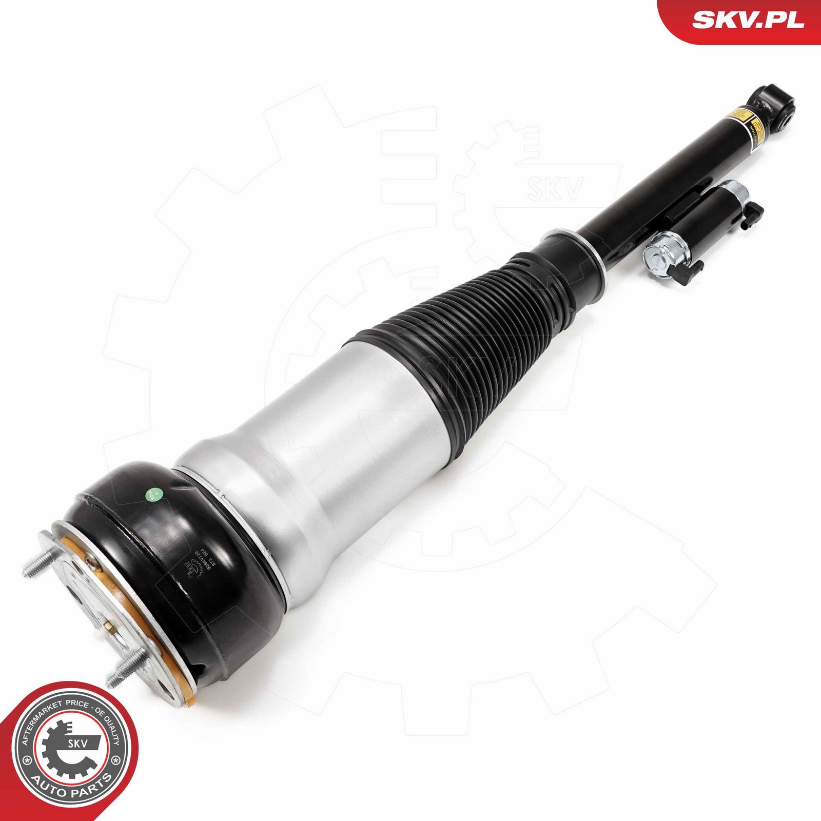 Air Suspension Strut-main