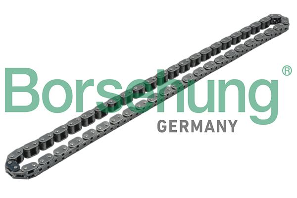 BORSEHUNG B1C001 Timing chain