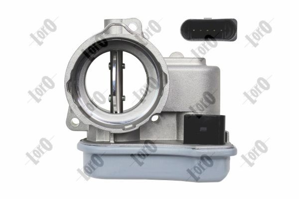 Throttle Body-1