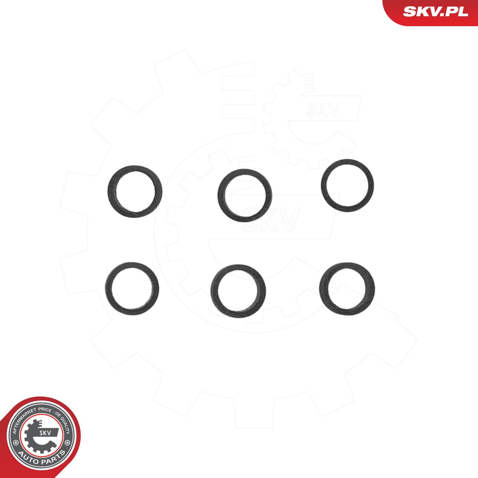 ESEN SKV 53SKV400 Seal ring, injector
