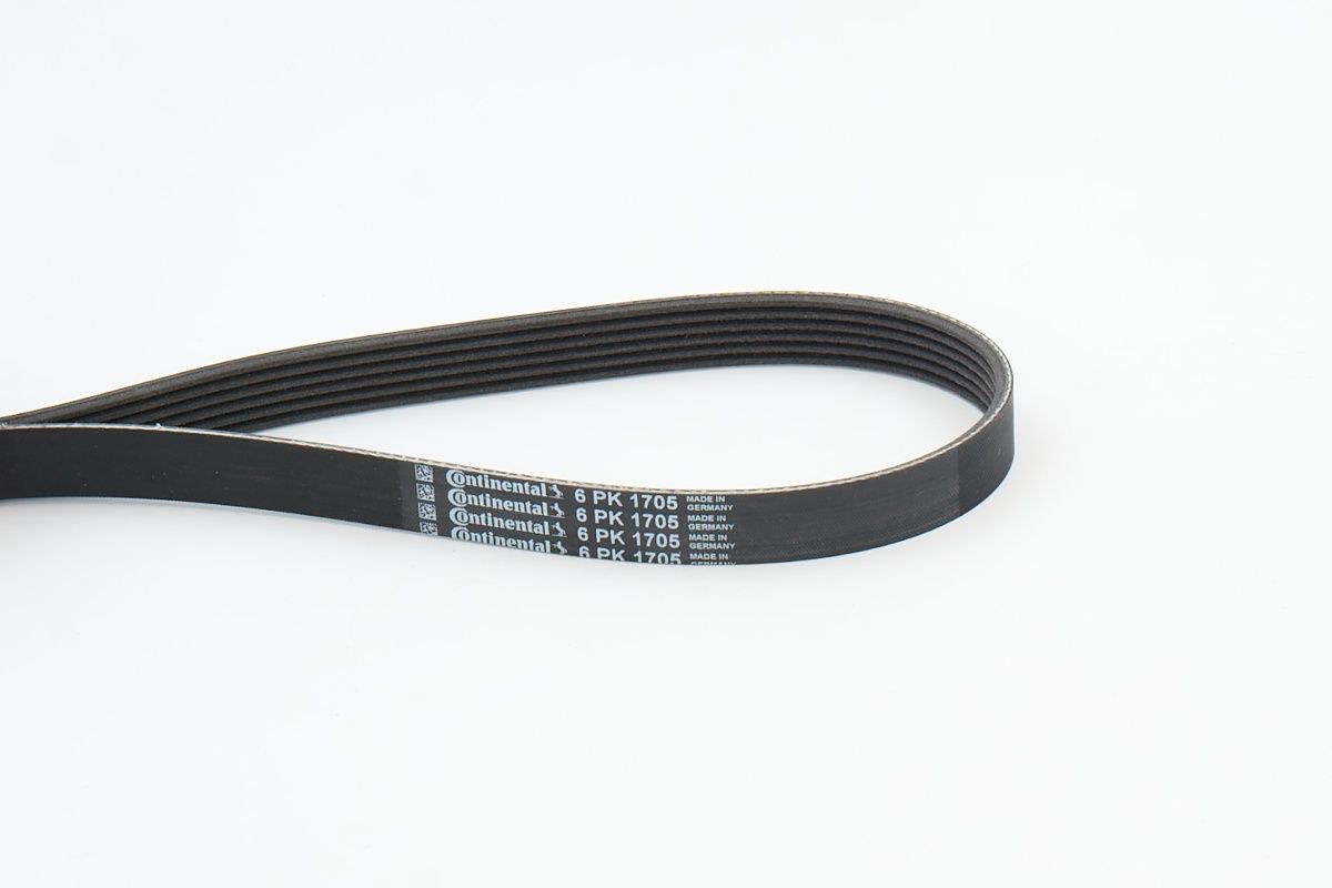 CONTINENTAL CTAM 6PK1705 V-ribbed belt