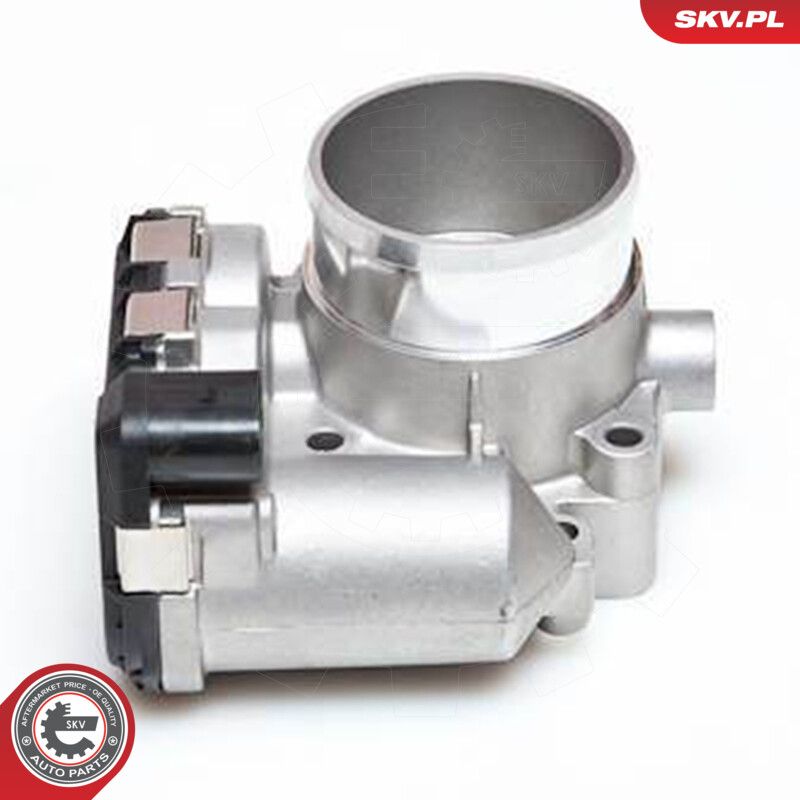 ESEN SKV 12SKV008 Throttle body