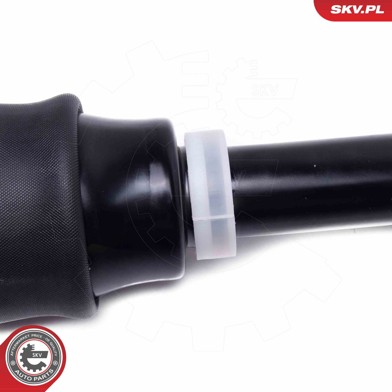 Air Suspension Strut-1