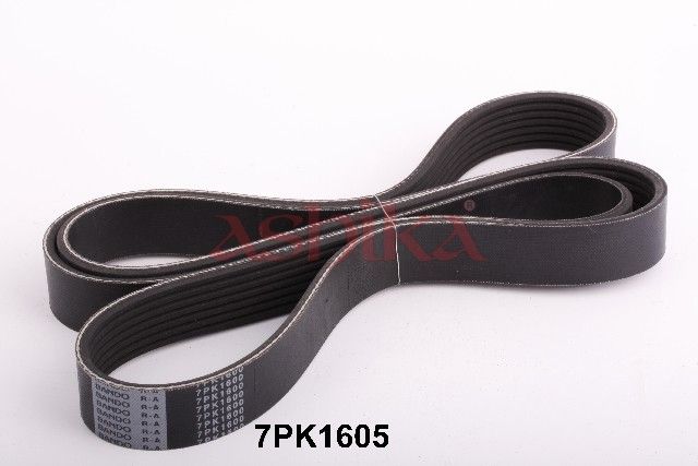 ASHIKA 112-7PK1605 V-ribbed belt