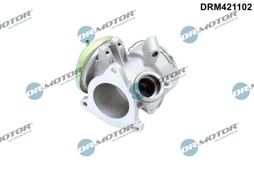 DR.MOTOR AUTOMOTIVE DRM421102 Egr valve