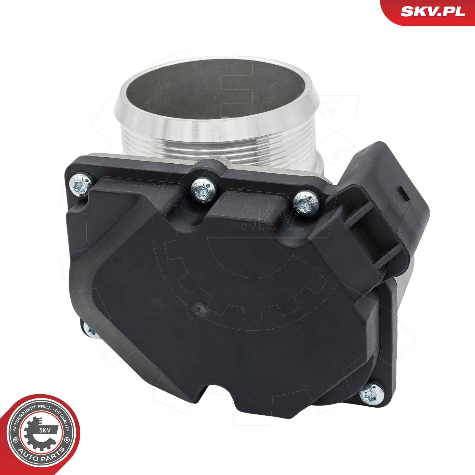 Throttle Body-1