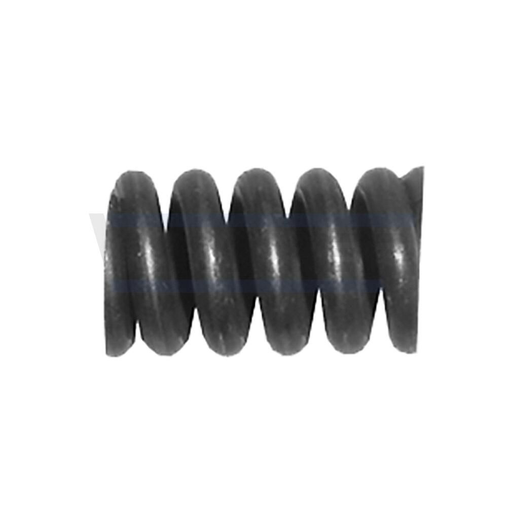 Spring, muffler-1