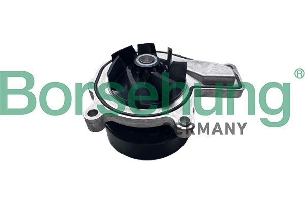 BORSEHUNG B11219 Water pump, engine cooling