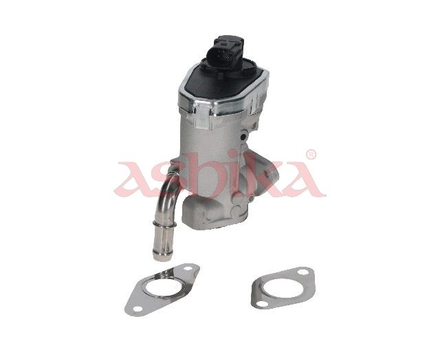 ASHIKA 150-00-0313 Egr valve