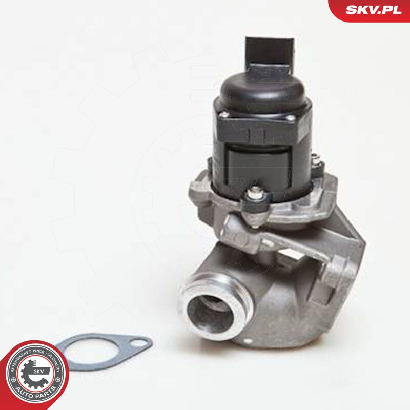 EGR Valve-5