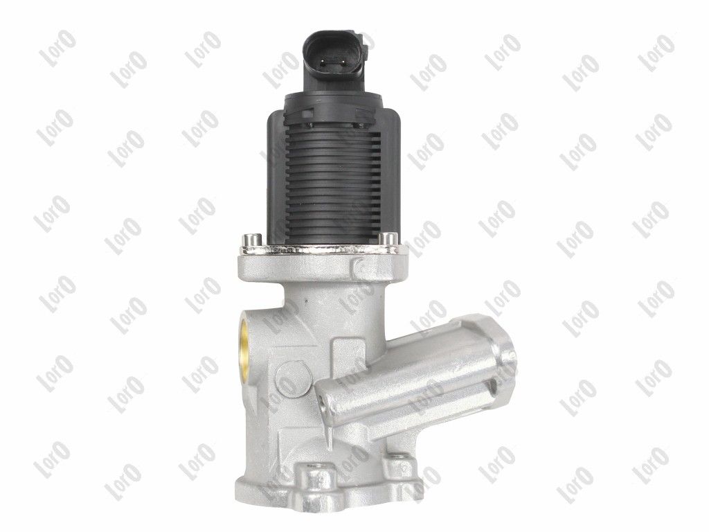EGR Valve-4