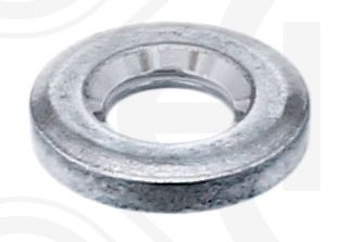 Seal Ring, common rail injector