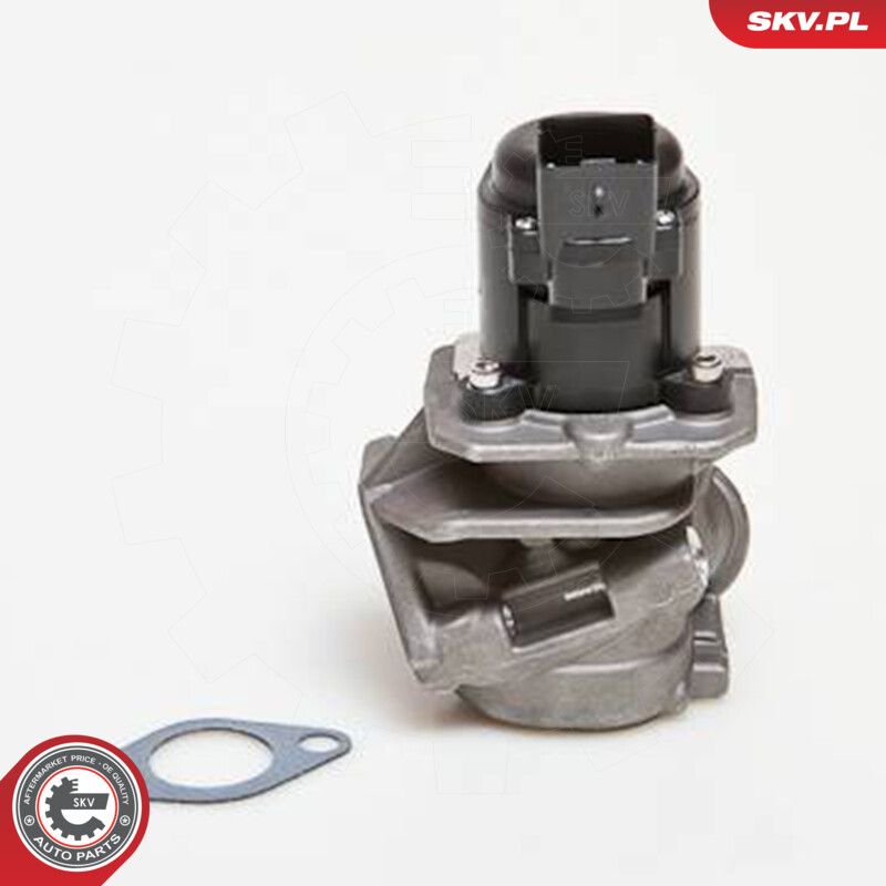 EGR Valve-1