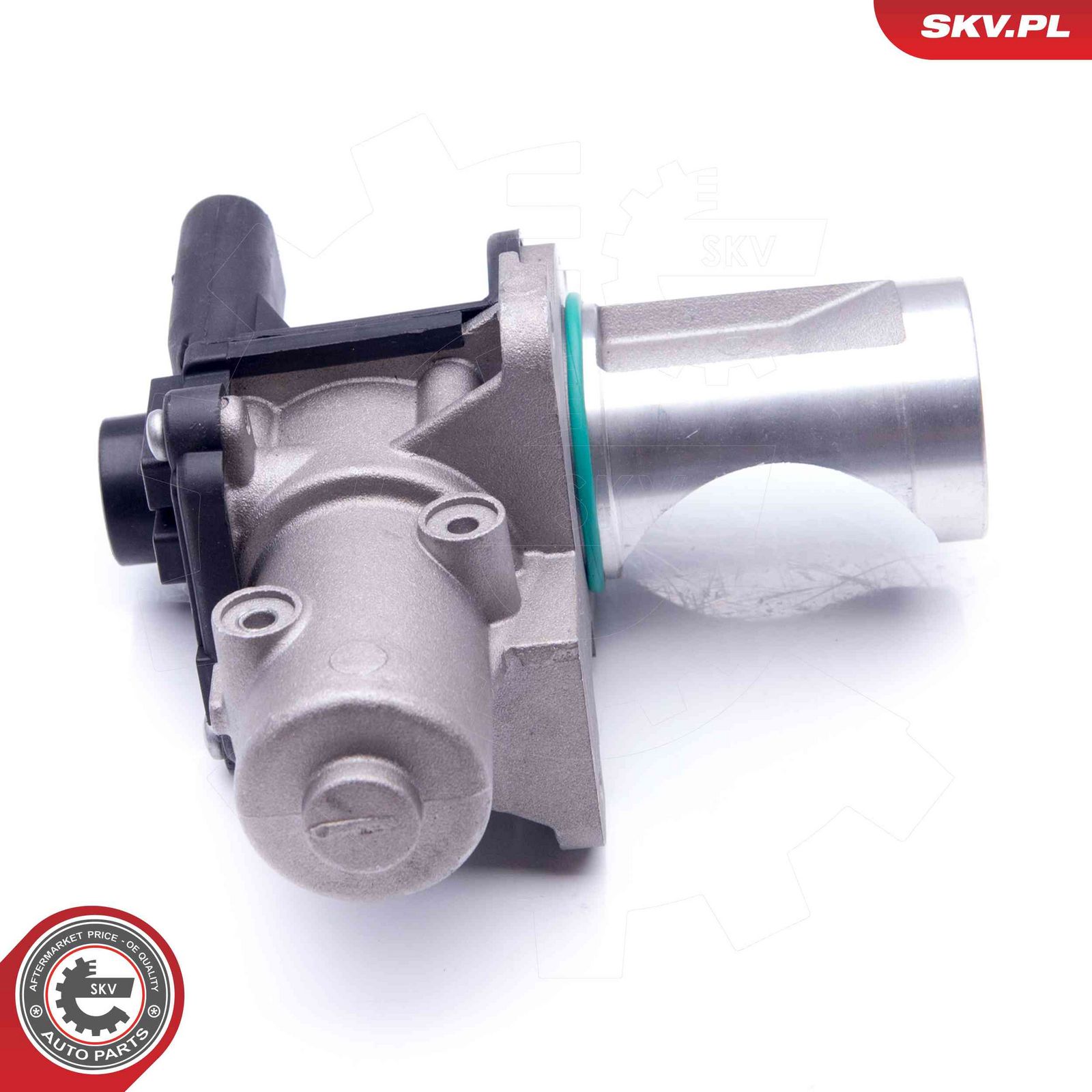 EGR Valve-2