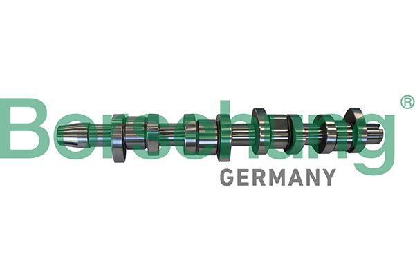 BORSEHUNG B11306 Camshaft