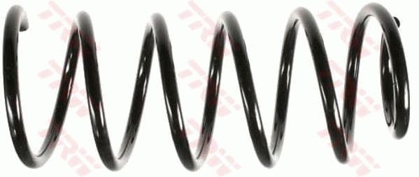 TRW JCS313 Suspension spring