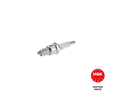 NGK 7529 Spark plug