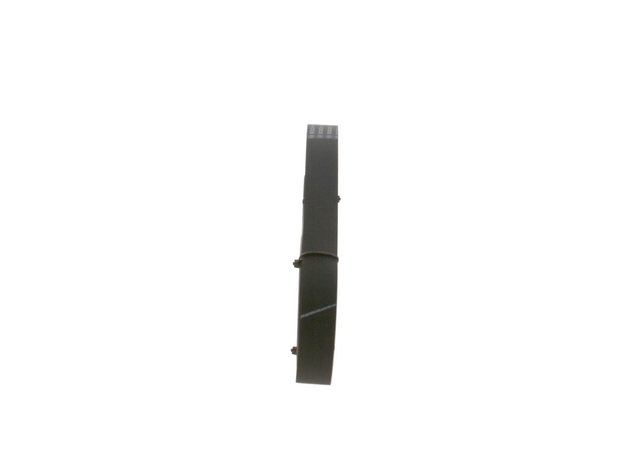 V-ribbed Belt-3