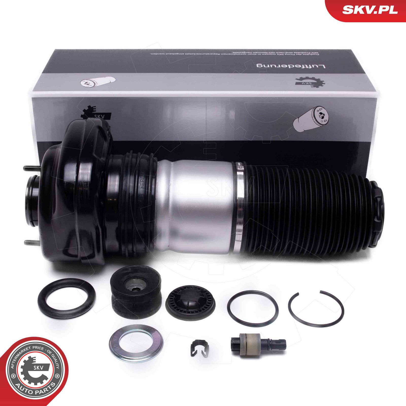 Air Suspension Strut-2