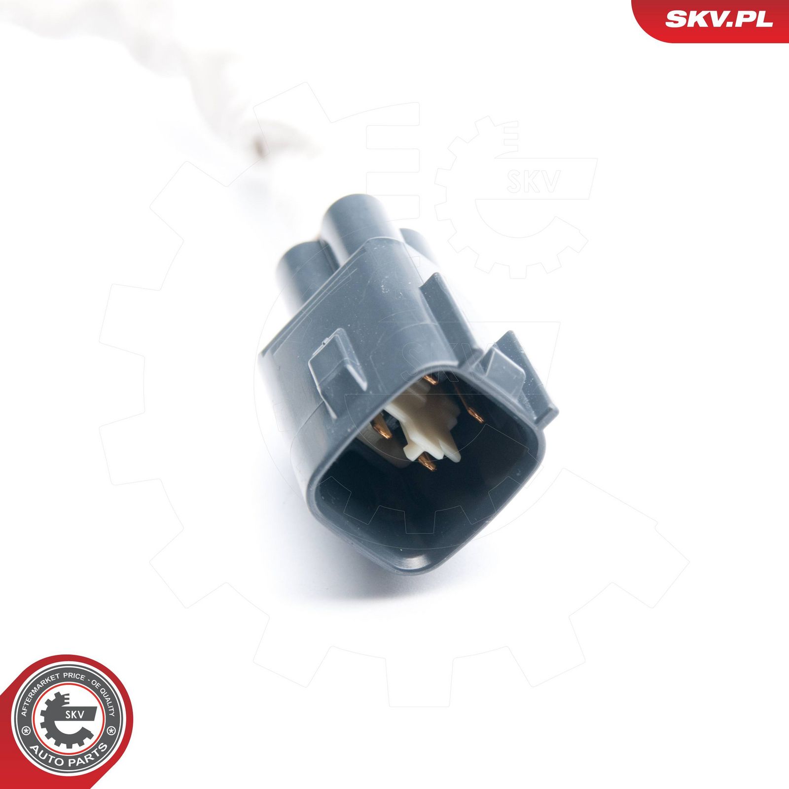 Oxygen Sensor-1