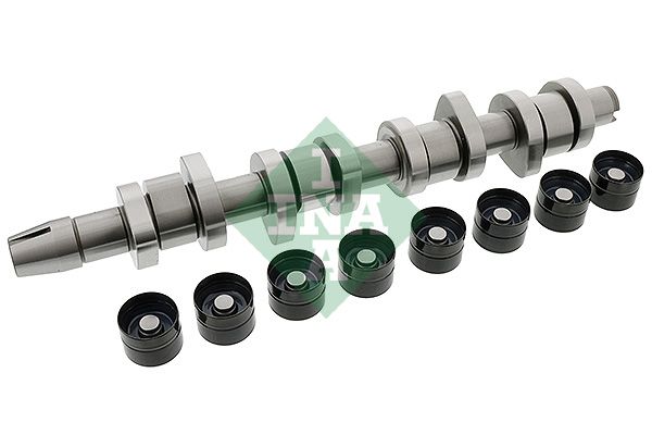 SCHAEFFLER INA 428 0042 30 Camshaft kit